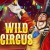 Wild Circus